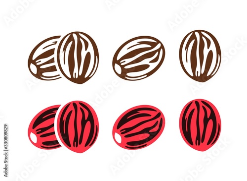 Nutmeg logo. Isolated nutmeg on white background