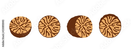 Nutmeg logo. Isolated nutmeg on white background