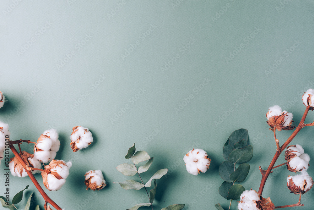 Flowers composition. Frame made of cotton flowers and eucalyptus branches on pastel blue background. Flat lay, top view. Frame with copy space - obrazy, fototapety, plakaty 