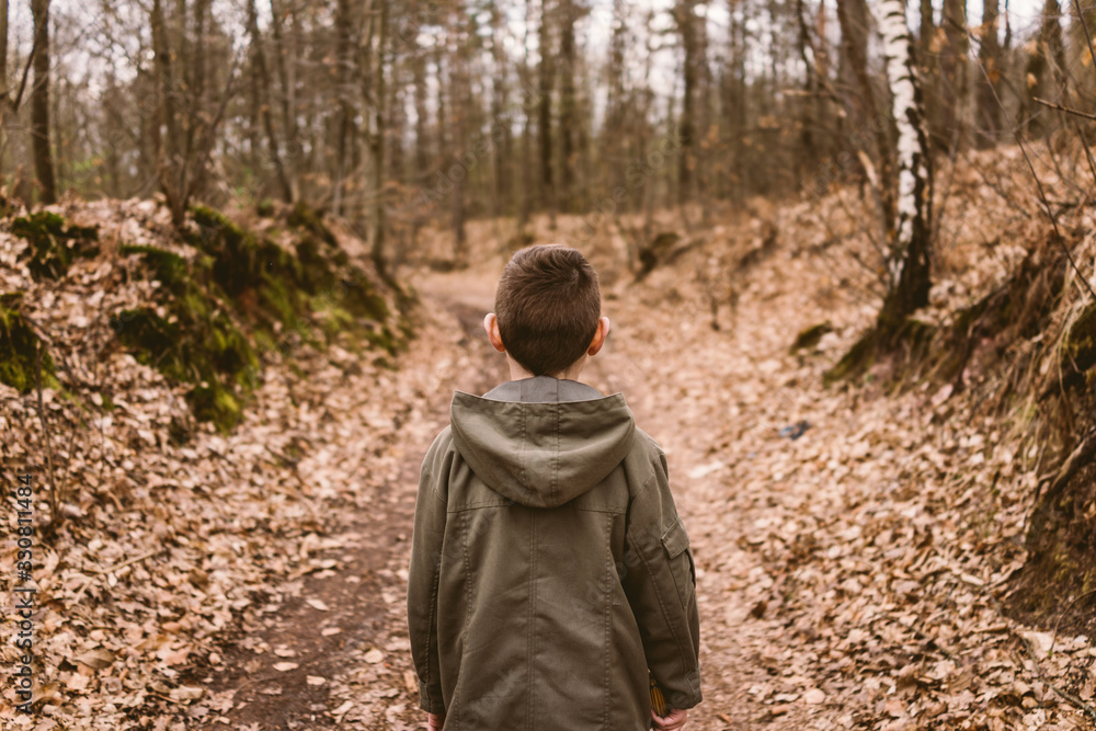 Boy in forest