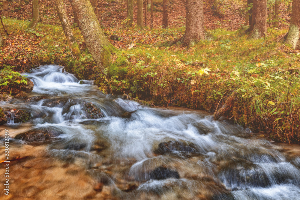 River in the forest during autumn River in the forest during autumn