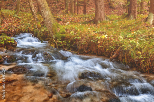 River in the forest during autumn © Samuel