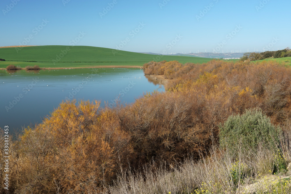 Campillos Lagoon Nature Reserve, Malaga. Spain