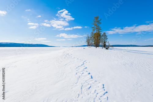 Panoramic view of the frozen lake. Fir trees on the hill close-up. Snow-covered mountains and coniferous forest in the background. Clear blue sky. Kola Peninsula, Murmansk region, Polar Circle, Kareli photo