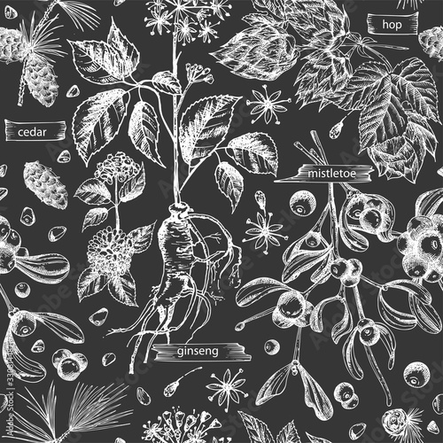 Seamless pattern with vintage hand drawn sketch medicine herbs elements isolated on black chalk board background. Cedar, mistletoe, hop, physalis, ashwagandha, ginseng.