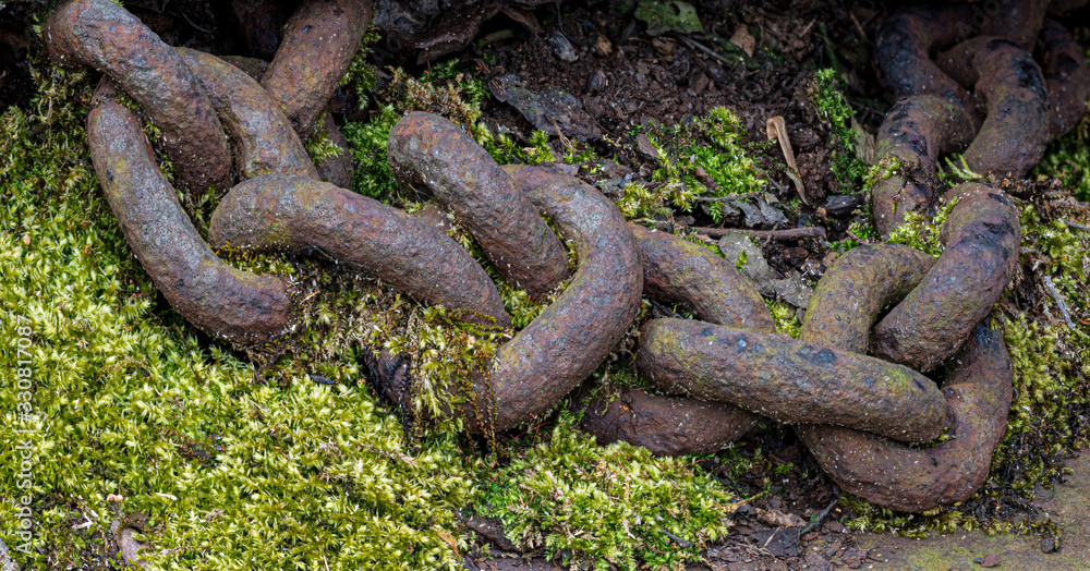 Moss encroaching on old rusted chain. Moss encroaching on old rusted chain.