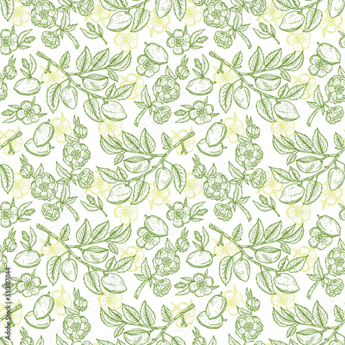 Hand drawn Seamless pattern. Branches with leaves and immature fruit. Blossoming almonds.Floral background. Vector illustration