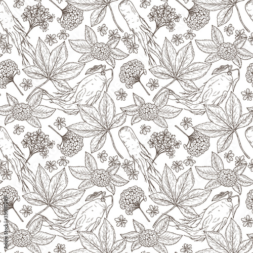 Medicinal plants Seamless pattern. Floral background with Root, Leaves, Berries and Flowers Panax Ginseng. Alternative medicine. Traditional herbal therapy. Vector illustration