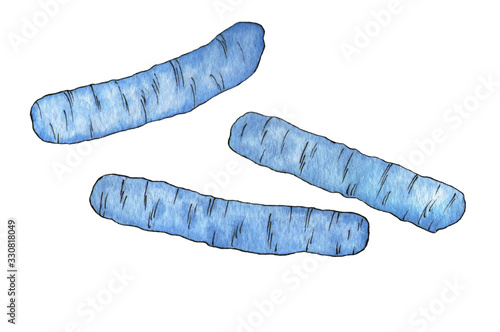 Valokuva Escherichia coli bacteria. Watercolor blue illustration