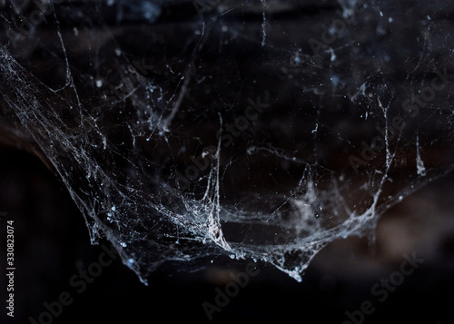 Horror cobweb  spider web   in   old basement isolated  © Inga