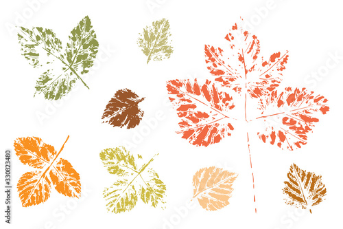 Leaf imprints. Leaves Set