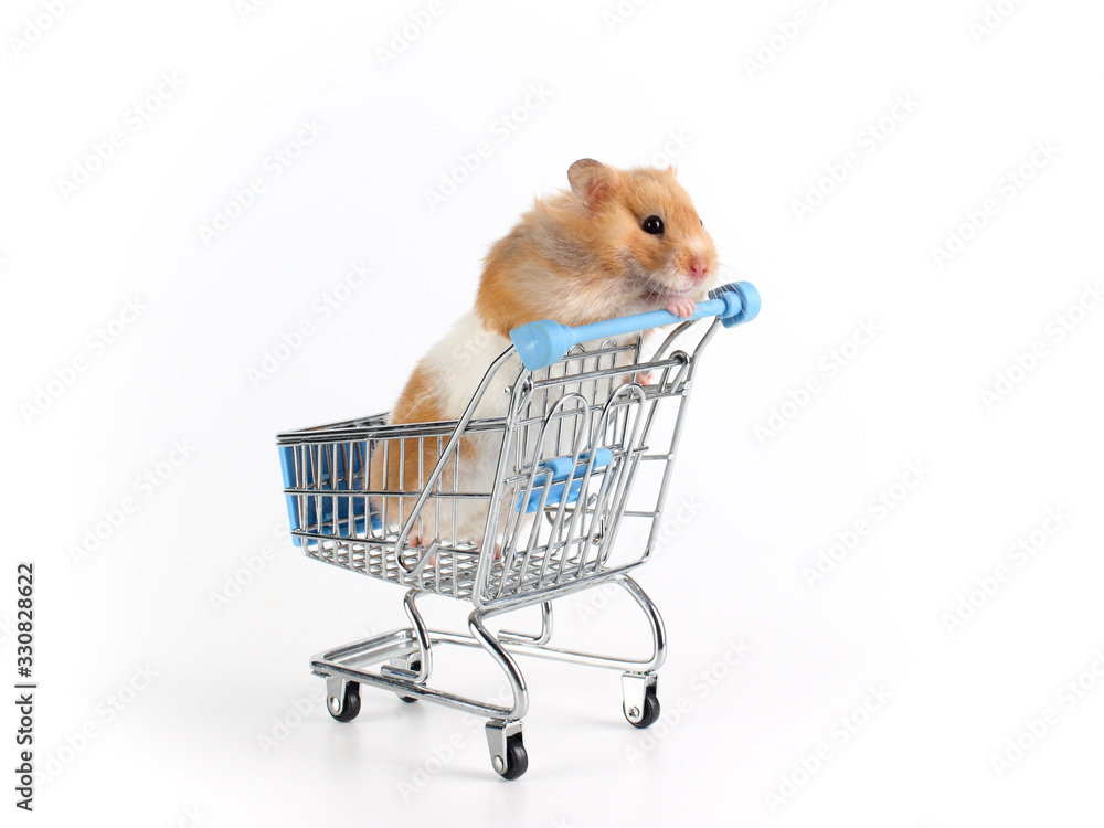 Hamster store deals