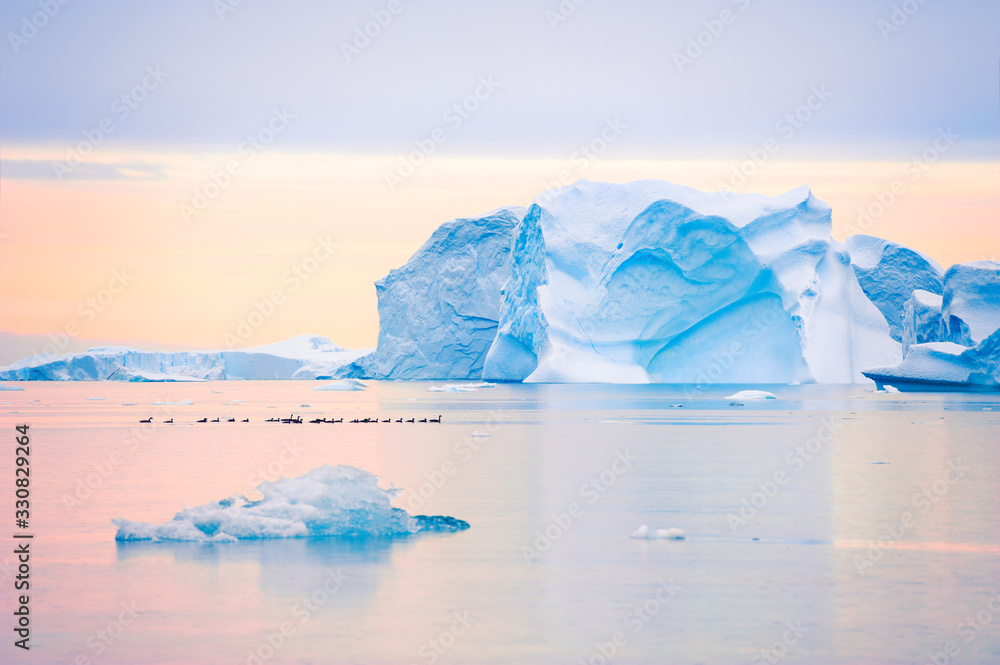 Blue icebergs in Atlantic ocean at sunset in Saqqaq village, western Greenland. Flock of ducks flowing on the water among icebergs.