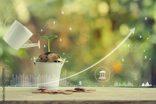 Banking and finance, Saving money for future growth concept: Pours water from a watering can, Green sprout on bucket full of coins and graph growth business investment . photo