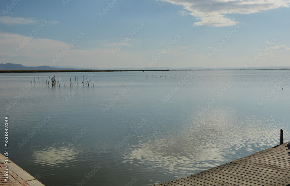 Naklejka premium Reeds on the lake on a sunset in summer