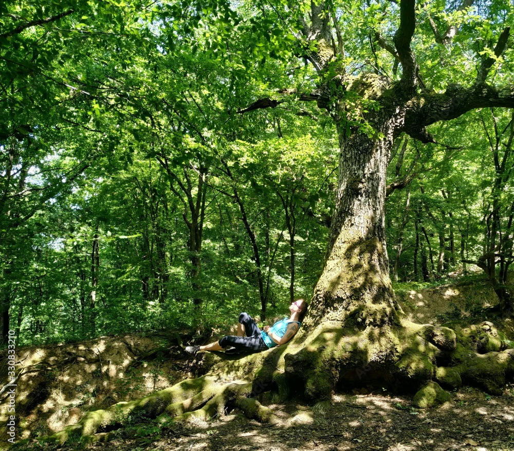 Hiker resting on the bottom trunk of a huge tree, surrounded only by bright green forest 