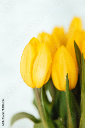 Bunch of yellow tulips on the table