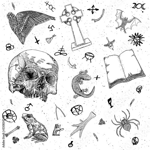Occult witch magic design elements set. Hand drawn witchcraft mystery symbols, bird wing, grave stone, cross, vampire bat, human skull, lizard, book, toad, frog, chicken foot, poison spider. Vector.