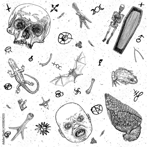 Occult witch magic design elements set. Witchcraft mystery symbols, coffin or casket  with skeleton, vampire bat, human skull, lizard, poison toad, frog, chicken foot, baby monster with fangs. Vector.