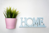 Green potted plant and a sign home on white background, eco friendly home concept
