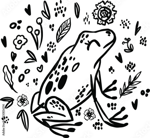frog doodle hand drawn coloring page. Cartoon abstract animal in scandinavian style. Wild rainforest animal. Grass branches with leaves, flowers and spots design element. Tropical jungle