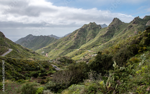 Mountain range in Teneriffe in green tones with some cacti in the foreground