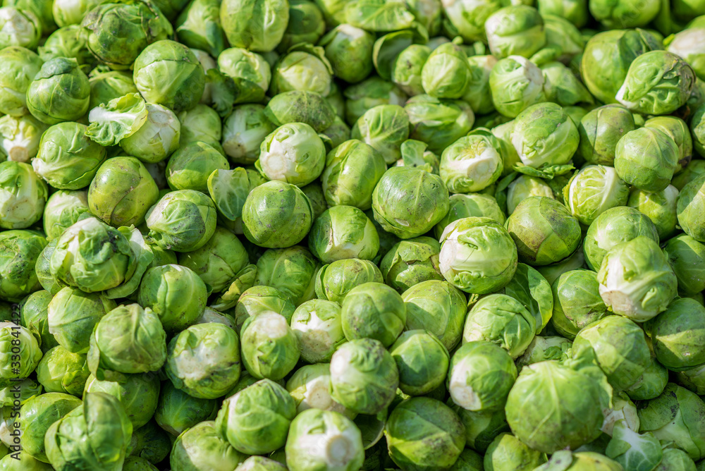 Green fresh brussels sprouts on the market at daytime Green fresh brussels sprouts on the market at daytime
