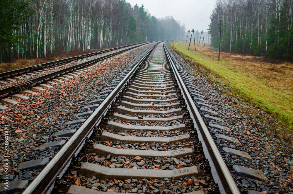 Fototapeta premium railway rails and sleepers along the forest