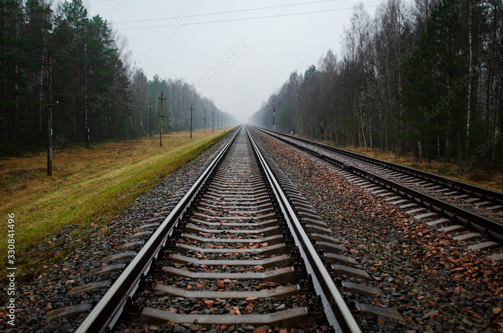 railway rails and sleepers along the forest