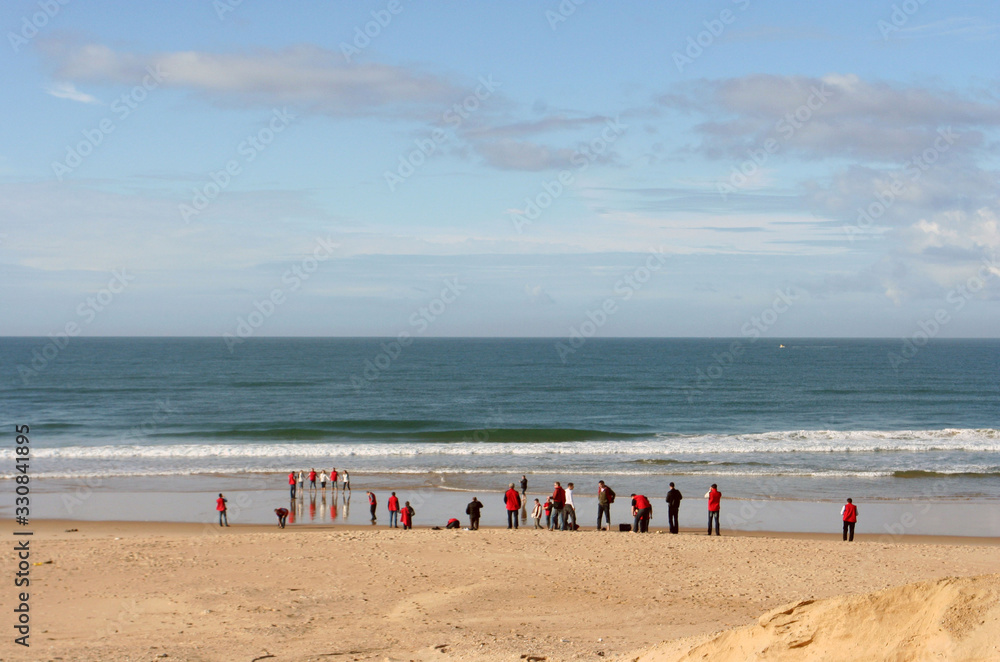 beach and sea