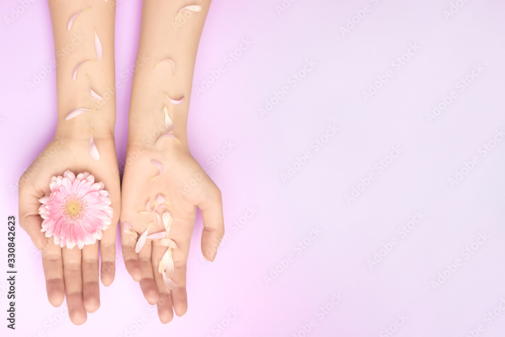 Closeup womans hand with a bright pink gerbera flowers on a purple backround with copy space. Womens health concept. Concept of an advertisment of cosmetic product or skin care. Closeup womans hand with a bright pink gerbera flowers on a purple backround with copy space. Womens health concept. Concept of an advertisment of cosmetic product or skin care.