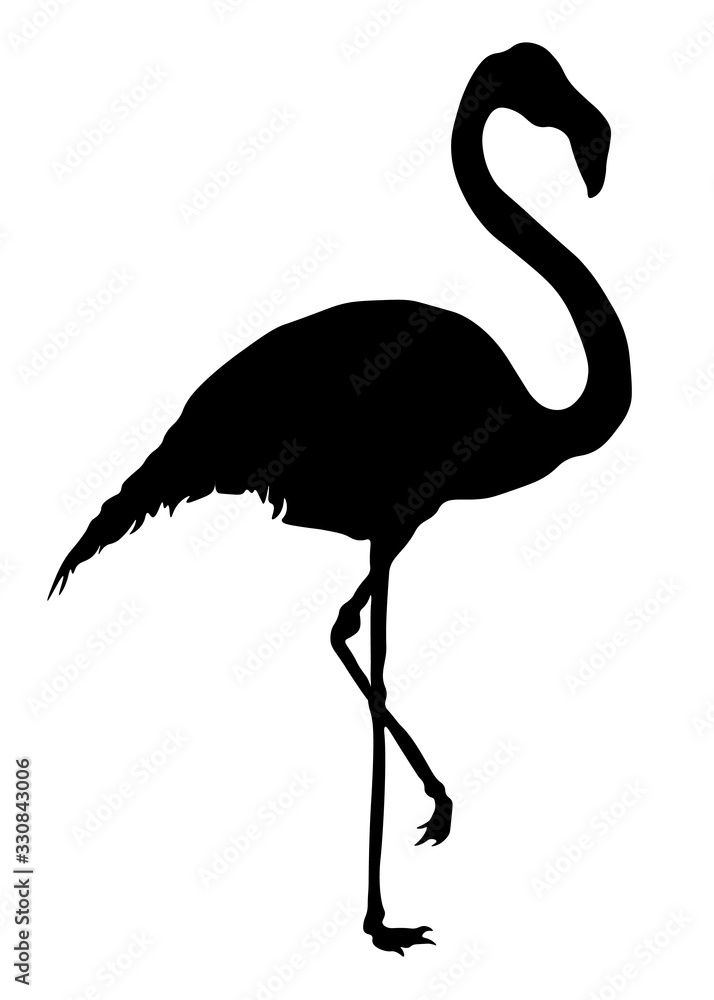Crimson flamingo, flamingo, bird, nature, animal Crimson flamingo, flamingo, bird, nature, animal