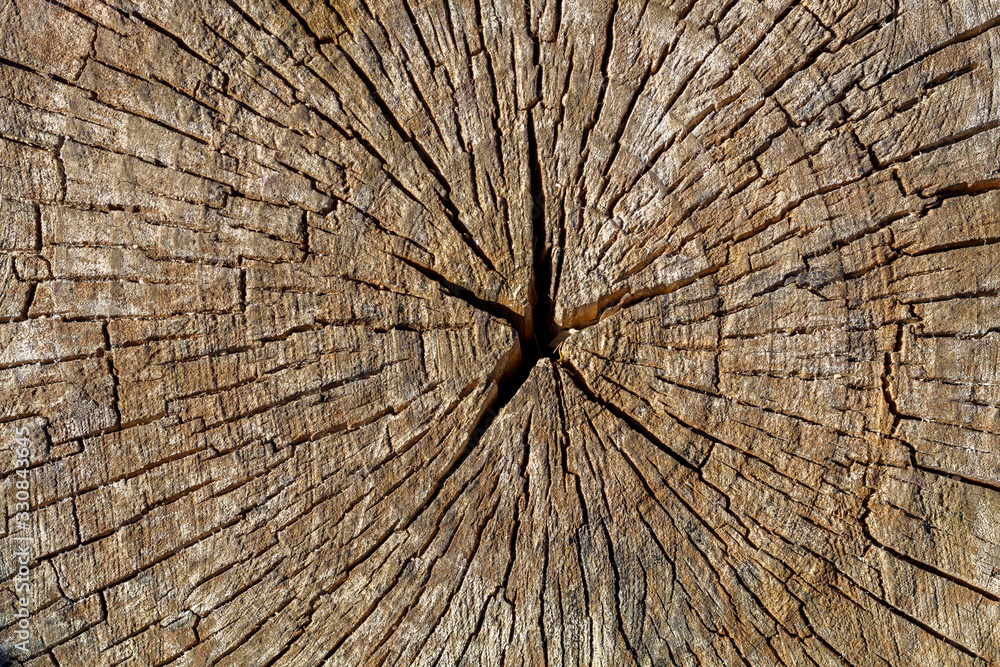 Fototapeta premium Old Weathered Cracked Brownish Wood Texture