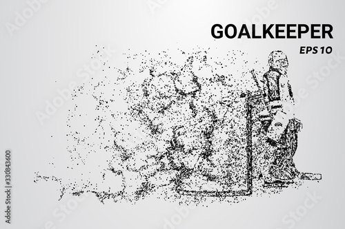 Hockey from the particles. The Goalkeeper consists of circles and dots. Hockey Goalkeeper crumbles into molecules.