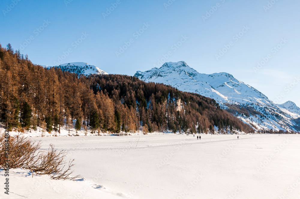 Fototapeta premium Sils, Silsersee, Langlauf, Langlaufloipe, Maloja, Malojawind, Piz da la Margna, Winter, Wintersport, Winterwanderung, Abendstimmung, Oberengadin, Alpen, Seenplatte, Graubünden, Schweiz