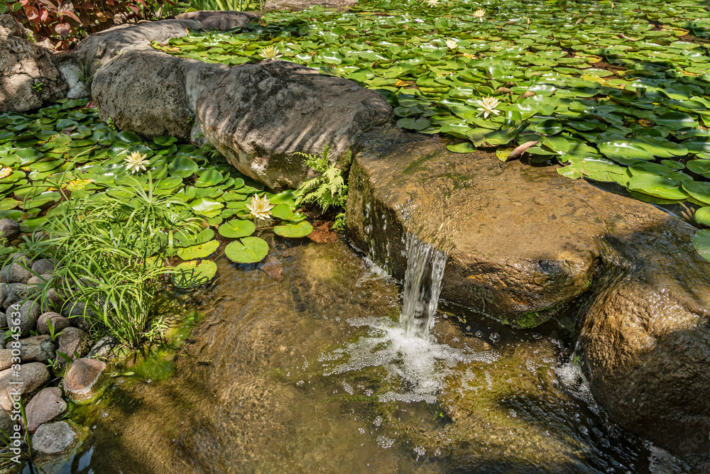 Waterfall in a serene garden. Fresh lotus flower botanic garden Waterfall in a serene garden. Fresh lotus flower botanic garden