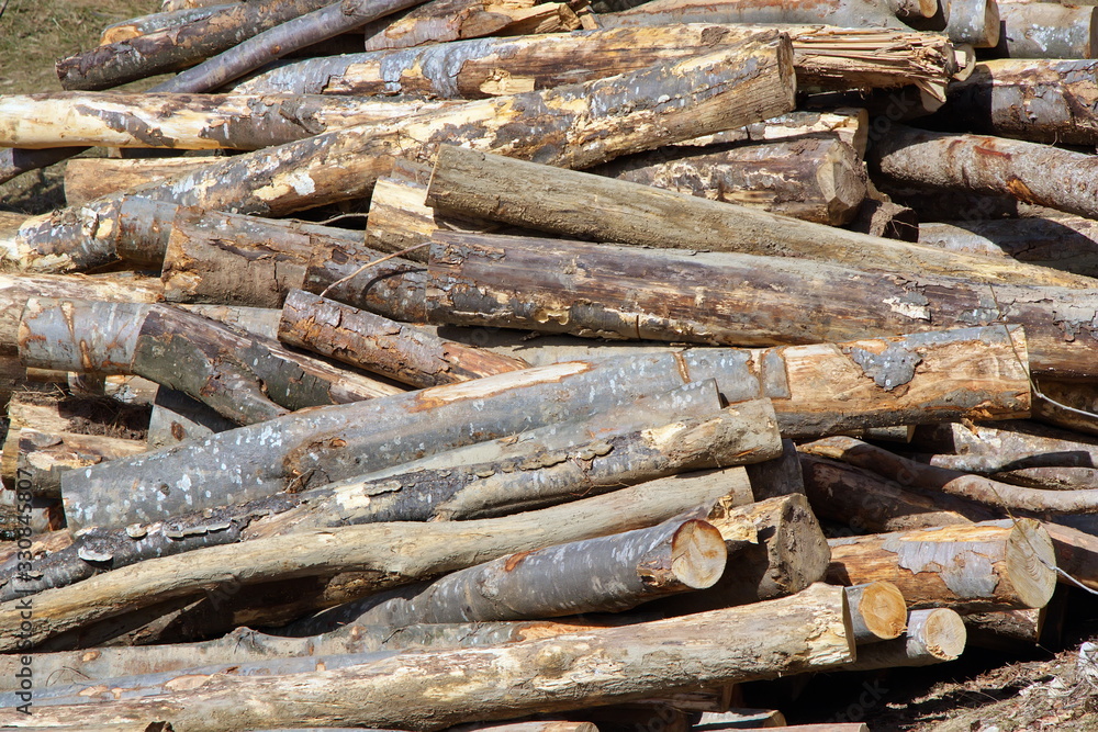 Deforestation. Pile of logs cut in the forest Deforestation. Pile of logs cut in the forest