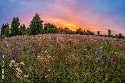 Colorful sunset in field © Kushch Dmitry