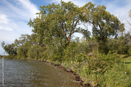 Pristine Lake Clitherall shoreline. Clitherall Minnesota MN USA