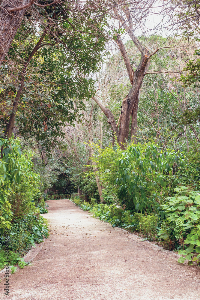 The National Garden is a public park in Athens city The National Garden is a public park in Athens city