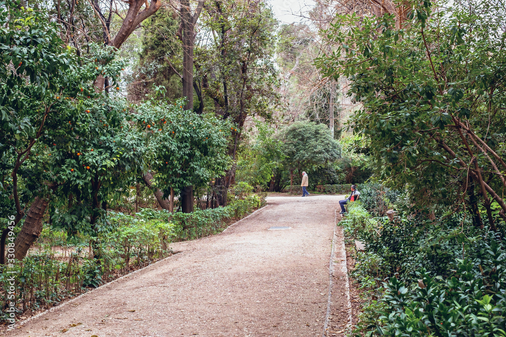 Fototapeta premium The National Garden is a public park in Athens city