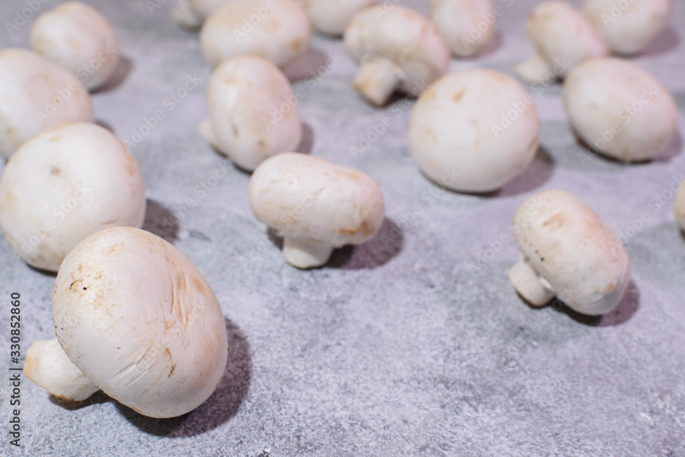 Fresh champignons. Healthy and tasty food. Fresh champignons. Healthy and tasty food.