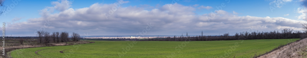 Beautiful panoramic view. Green wheat field with a white city on the horizon on a blue sky with clouds background