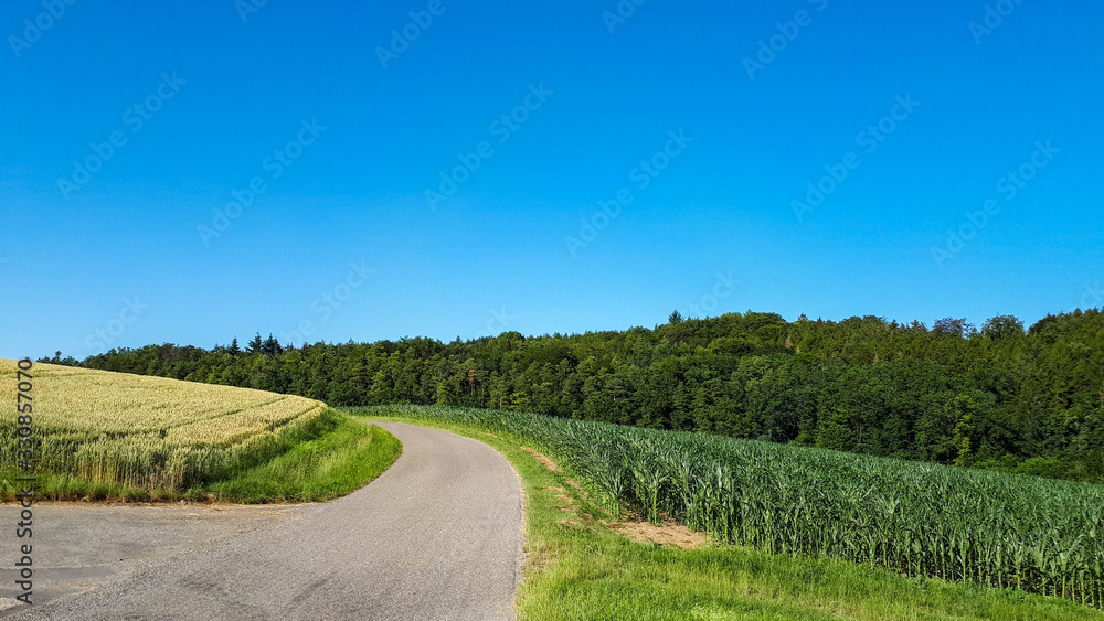 country road against clear blue sky in rural landscape with copy space in summer in Germany