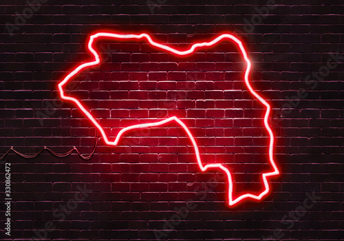 Neon sign on a brick wall in the shape of Guinea.(illustration series)