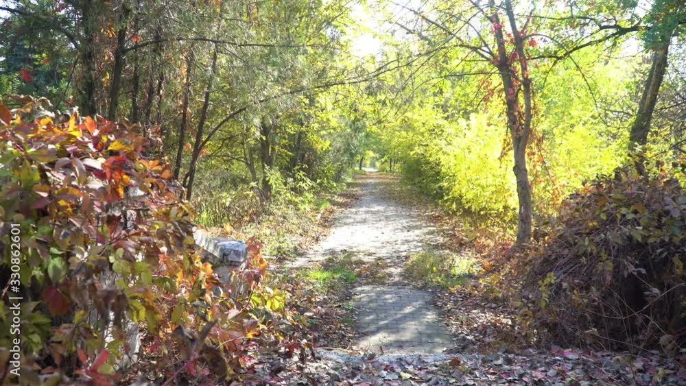 Fallen leaves on old asphalt road in autumn park. Seasonal concept. Slow motion 4k video footage Fallen leaves on old asphalt road in autumn park. Seasonal concept. Slow motion 4k video footage