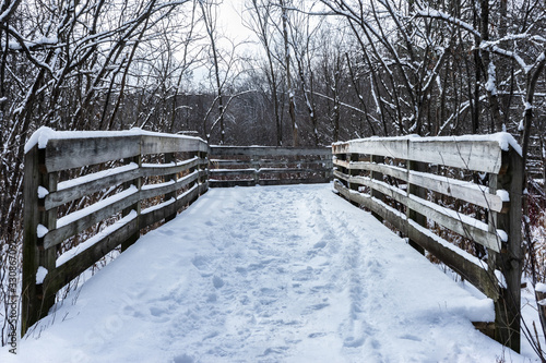 Puente entre los árboles con nieve alrededor durante el invierno
