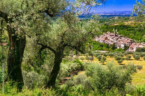 Εκτύπωση καμβά Casperia medieval borgo hilltop village panoramic view among olive trees Italy