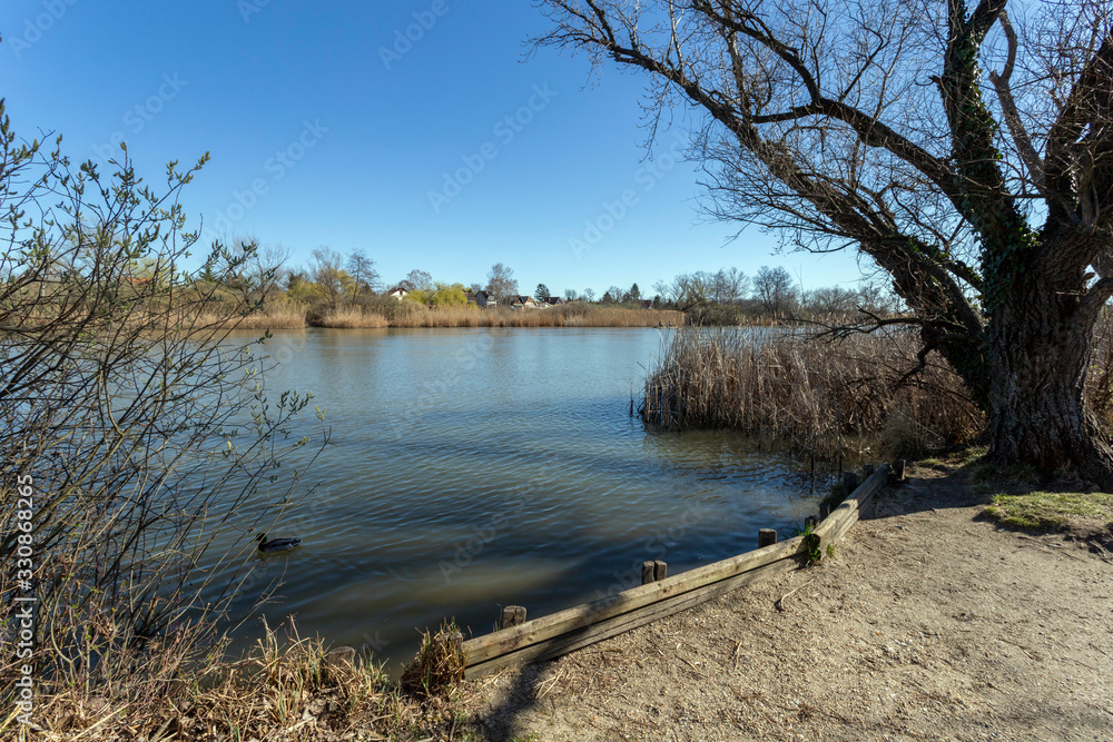 Floating swamp trail in Szigetszentmiklos, Hungary