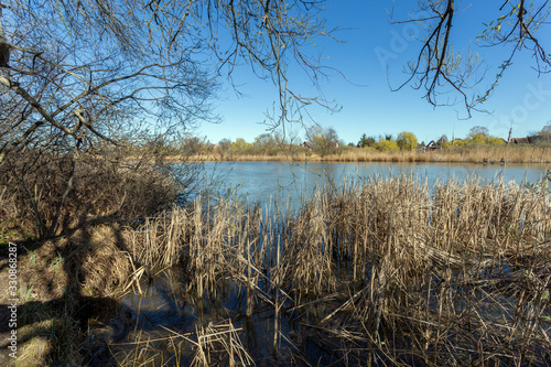 Floating swamp trail in Szigetszentmiklos, Hungary photo